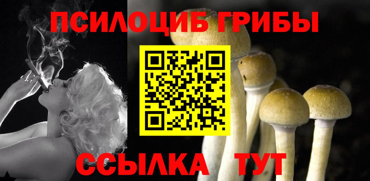 Псилоцибиновые грибы Magic Shrooms Ейск