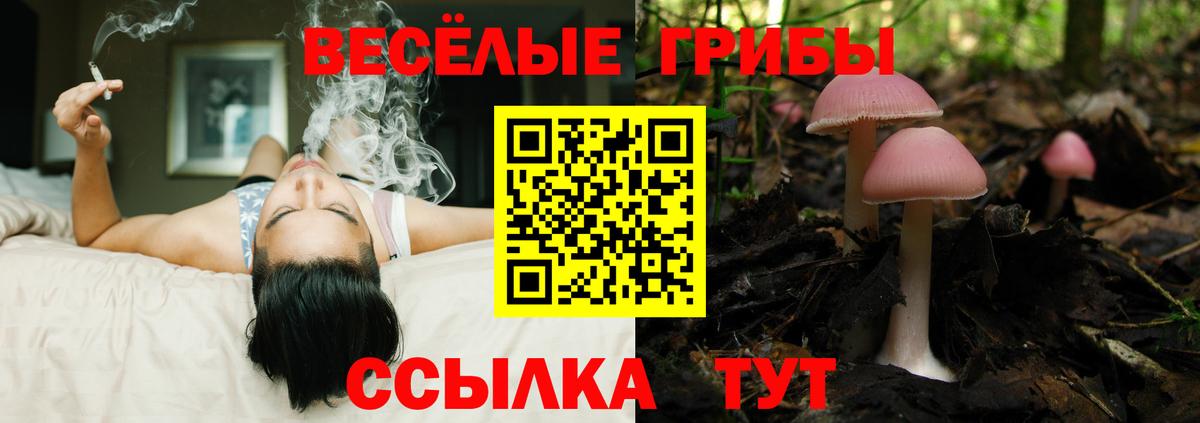 Ейск  Псилоцибиновые грибы мицелий  Вход с VPN  где найти наркотики  Галлюциногенные грибы мухоморы 